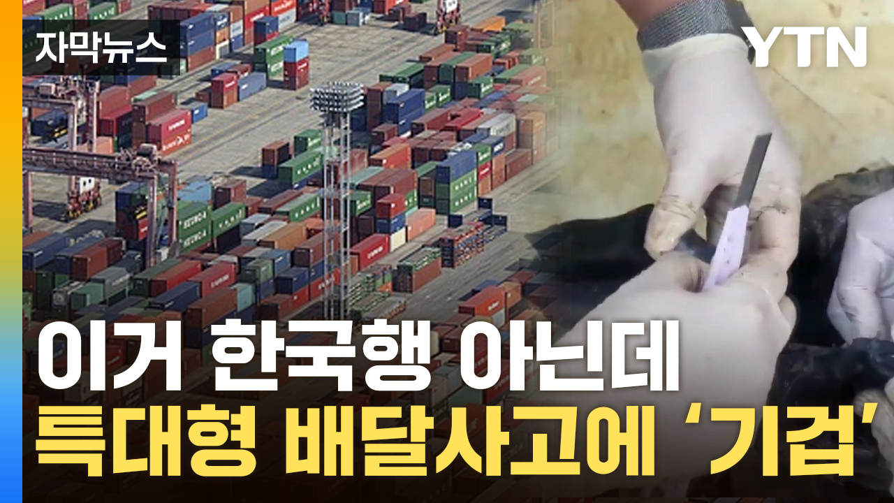 [자막뉴스] 뭔가 쎄했던 배 한 척...따개비 따던 밑바닥 보니 '아이고야'