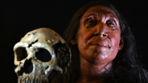 뼛조각 200개 맞추니...7만 5천 년 전 여성 얼굴 나타나