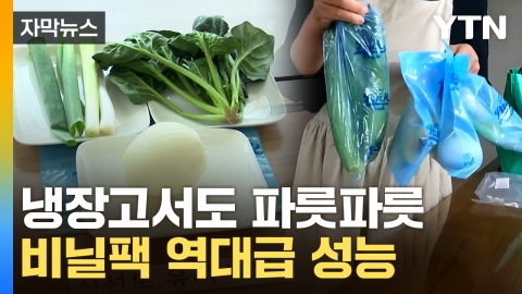 [자막뉴스] 세계서도 인정받은 품질...친환경 비닐팩의 '놀라운 성능'