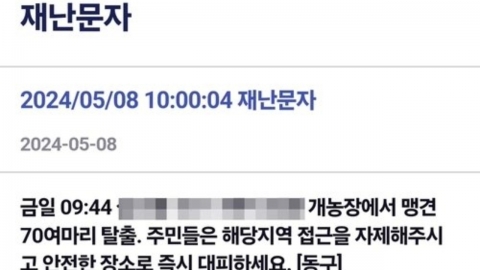 '맹견 70마리 탈출' 재난 문자에 일침 가한 수의사…"심각한 문제"