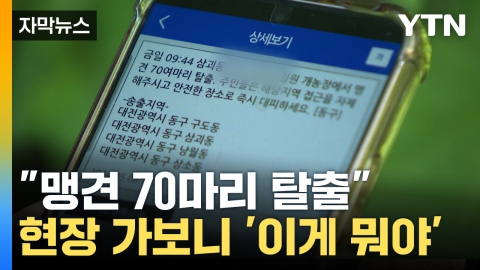 [자막뉴스] "맹견 70마리 탈출", 실제론 소형견 세 마리?...황당 사건의 전말