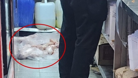 "생닭을 더러운 바닥에…" 유명 치킨 프랜차이즈 위생 논란