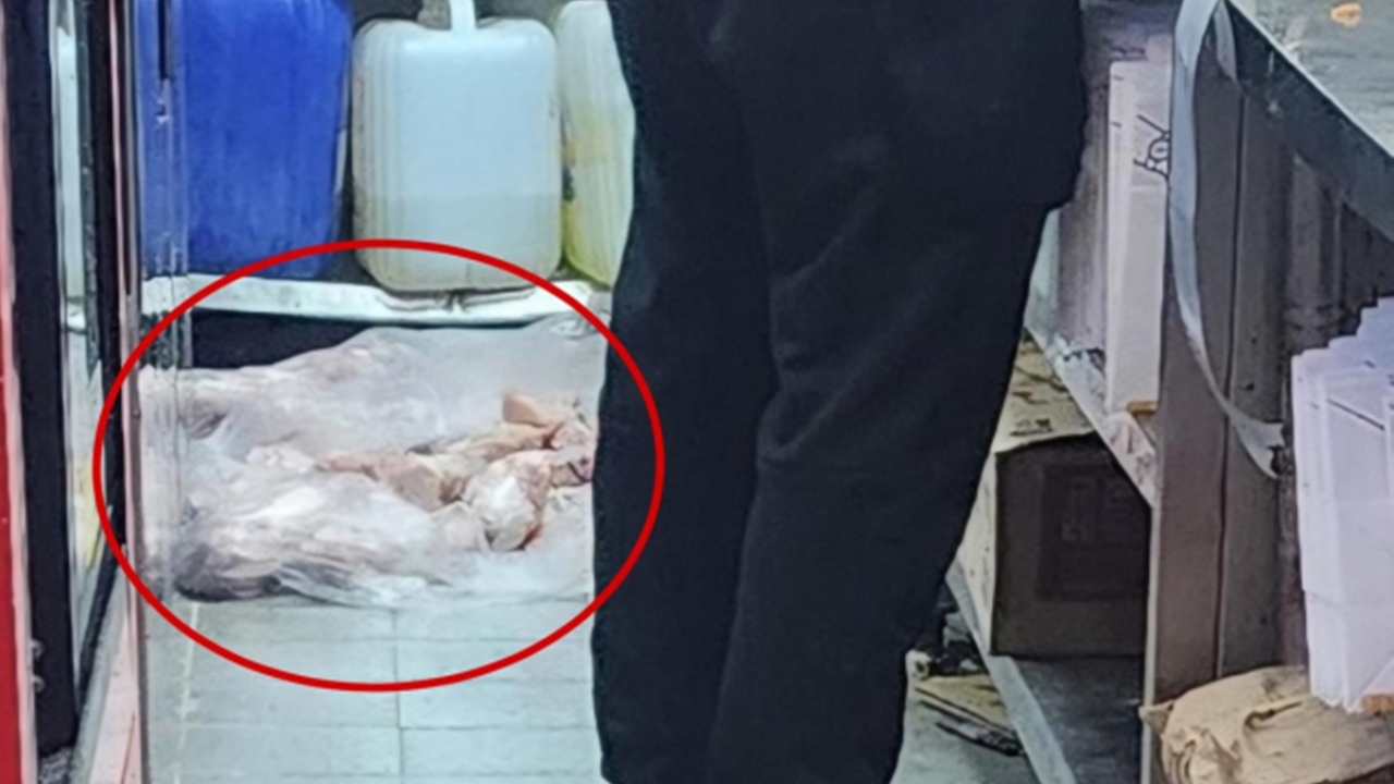 "생닭을 더러운 바닥에..." 유명 치킨 프랜차이즈 위생 논란