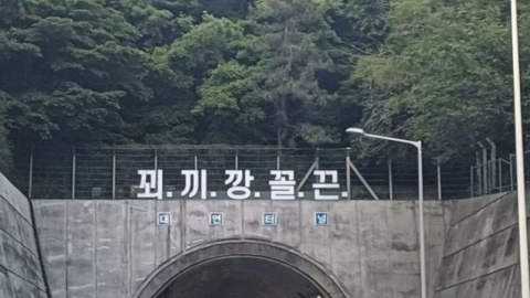 부산 터널 위 '꾀끼깡꼴끈' 무슨 의미? "문구 보다 사고 나겠다"