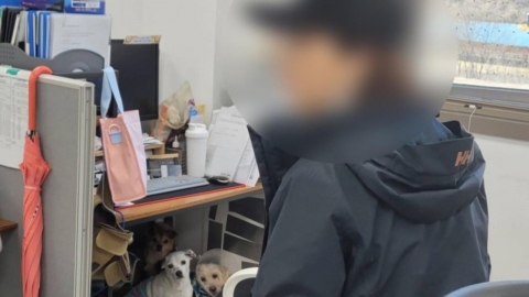 동물행동권 '카라' 간부 10년간 동물 상습 폭행...'경징계'에 그쳐 