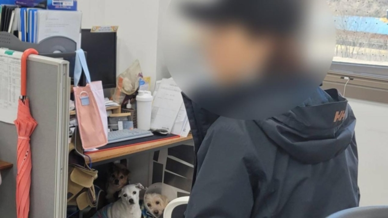 동물행동권 '카라' 간부 10년간 동물 상습 폭행...'경징계'에 그쳐