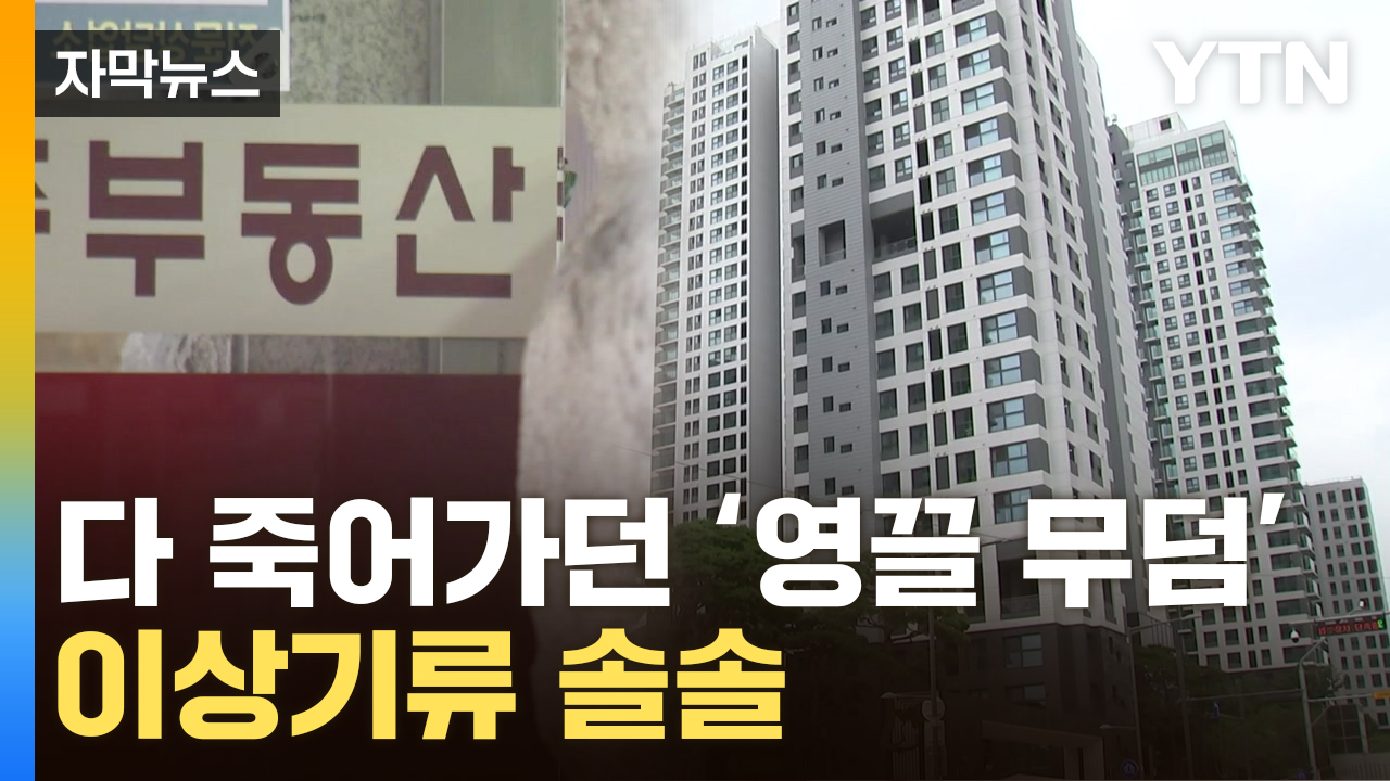 [자막뉴스] 부동산 갔다 '심장이 쿵'...답 안 나오는 서울살이