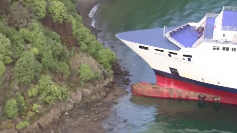 뉴질랜드 여객선 방향 잃고 좌초…"매우 우려스러운 사고"