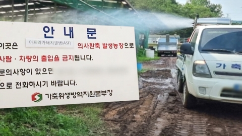 경북 안동 '아프리카돼지열병' 발생…올해 전국 5번째