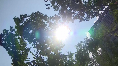 서울 36.2℃, 올 최고 더위...비공식 여주 점동면 40℃ 기록