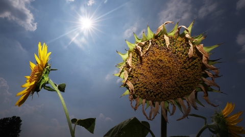 전국에 폭염 현장관리관 첫 파견..."철저히 관리"