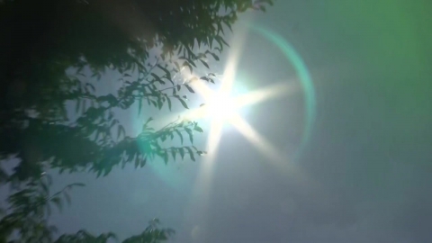 밤사이 서울 역대 가장 늦은 열대야...한낮엔 34℃