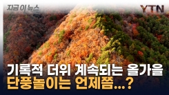 기록적 더위 계속되는 올가을...첫 단풍은 \'이 때\' [지금이뉴스]