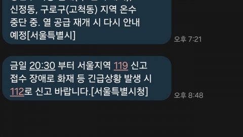  서울 일부지역 119 신고 접수 장애..."112로 신고 당부"