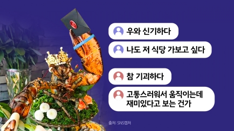 "신기해"VS"기괴해" 살아있는 바닷가재 몸통 절단된 채 손님상에 [앵커리포트]