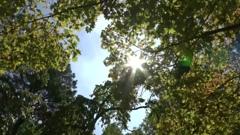 [날씨] 서쪽 30℃ 안팎 늦더위…가을 정취 가득한 남산