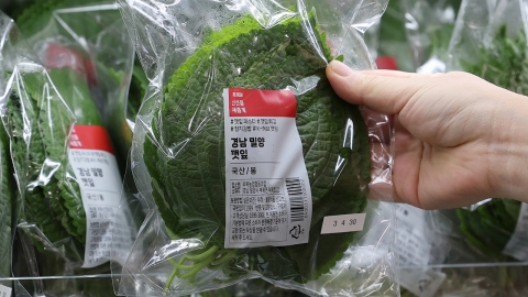 [Economy pick] 100 won for a sesame leaf?an unfeasible 1% price