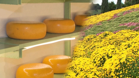 [Network] Korea's first cheese ripening cave...Imsil Cheese Festival celebrates its 10th anniversary.