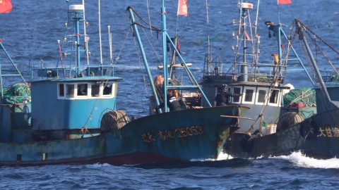 The West Sea of the crab season is at war..."Yeonhwangye" that raises its head again.