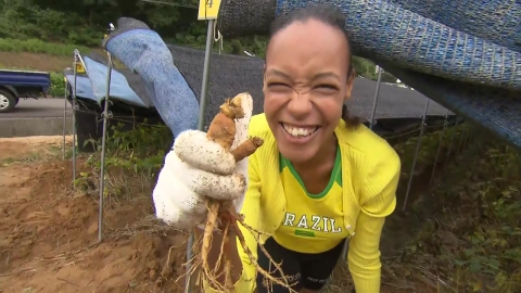 \'심 봤다!\' 몸도 마음도 건강한 금산 인삼축제