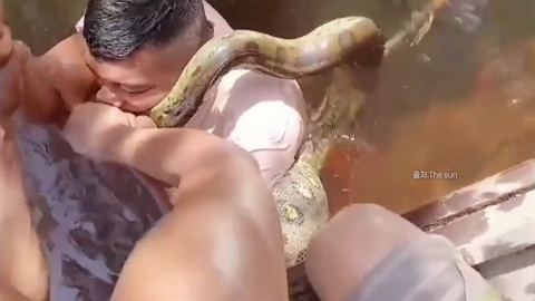 [Now shorts] A man wrapped in an anaconda...He bit his head and managed to escape.