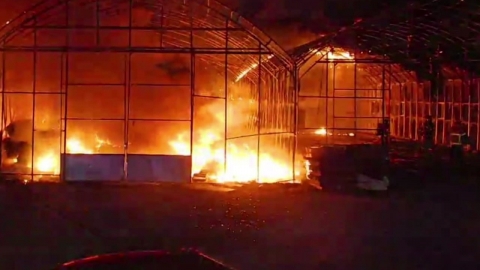 Fire in Siheung greenhouse...No casualties.