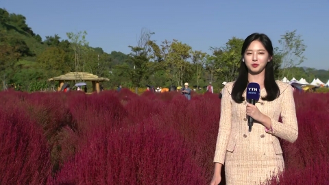 [Weather] The clear autumn sky...Citizens Enjoy Autumn Flower Festival