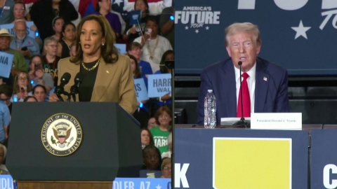 "Trump is unfit for presidency" vs "Biden and Harris fight a lot"