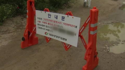 African swine fever outbreak in Hwacheon, Gangwon Province...This year's 9th.