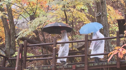 [날씨] 이번 주 잦은 비에 기온 \'뚝\'…밤사이 남해안 100mm 호우