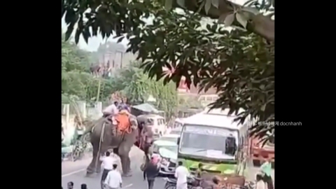 The Elephant's Scary Turbulence?"Car" with your nose. [Now shorts]