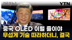 삼성·LG \'위태\'...\'中 OLED\' 한국 스마트폰 넘어서더니 결국 [지금이뉴스]