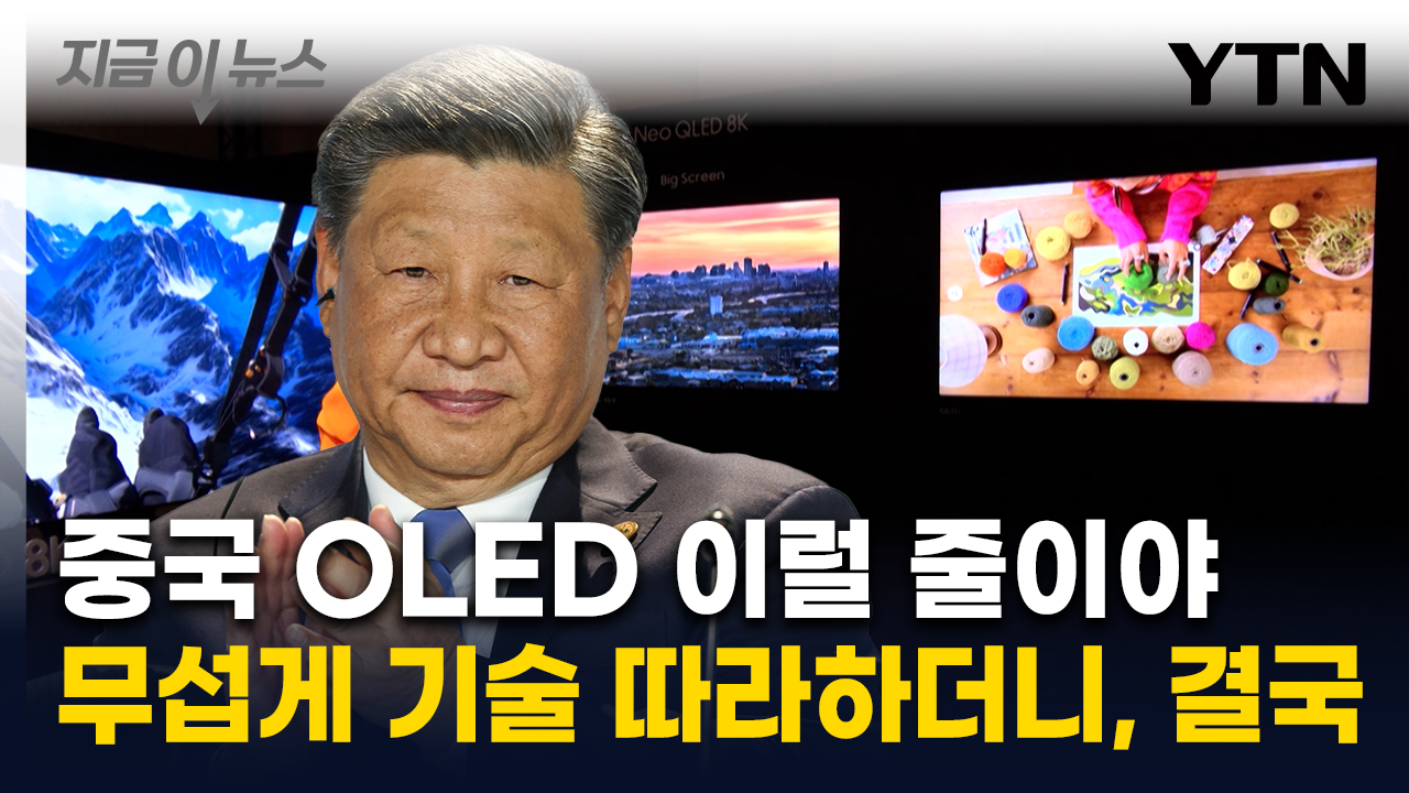 삼성·LG '위태'...'中 OLED' 한국 스마트폰 넘어서더니 결국 [지금이뉴스]