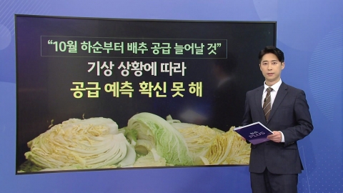 "Cabbage and radishes are expensive. What other ingredients?" ...Seasoning ingredients are on the decline. [Anchor Report]