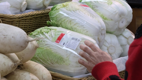 Two weeks before the kimchi-making season...Cabbage and radish prices are 40% higher than last year ↑