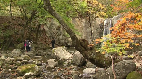 선선해진 날씨…단풍·꽃과 함께 가을 만끽