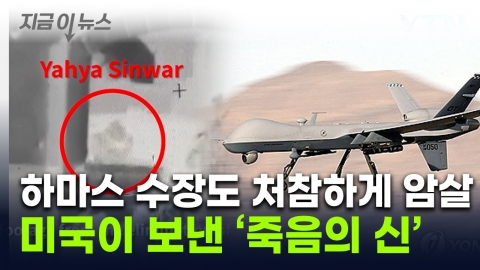 "Decisive Role in the Death of Sinwar Targets"... "Heavenly Assassin" Sent by U.S. [Now News]