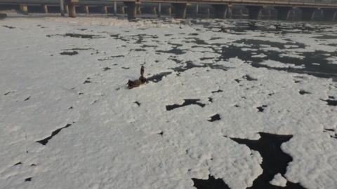 [Nowshorts] "Hambak snow piled up"... Toxic foam covering Yamuna River in India