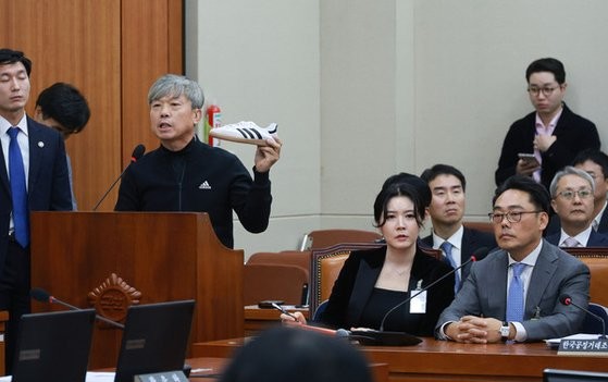 "작년엔 한국말 잘 하더니?"...아디다스 대표, 국감서 혼쭐