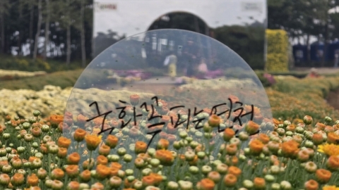 Yeoncheon-gun, until the 27th, will hold a 'national flower festival' at the prehistoric site of Jeonggok-ri.