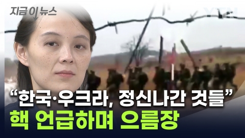 Kim Yo-jong criticized Korea, Ukraine... "Even the extreme evil...Destruction" [This is the news]