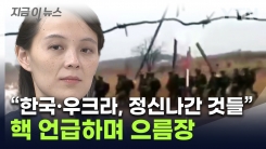 김여정, 한국·우크라 싸잡아 비난..."극악무도...괴멸 초래" [지금이뉴스]