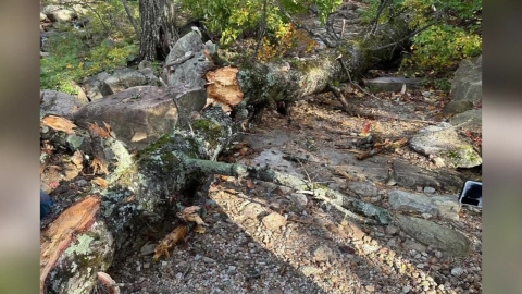 Typhoon-like strong winds have devastated Mt. Seorak mountain climbers..."Late entry control".