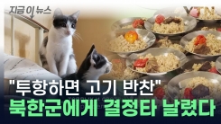 "투항하면 삼시 세끼 고기 반찬" 북한군에게 결정타 날린 우크라이나 [지금이뉴스]