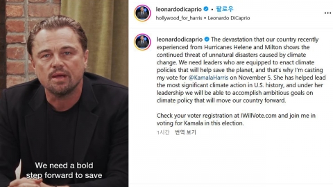 디캐프리오 "해리스 지지"...멜 깁슨 "트럼프 지지"