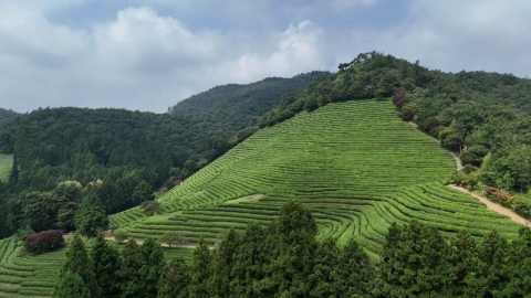 In New York, "Jeonnam Garden"...It showcases the essence of Korean garden culture.