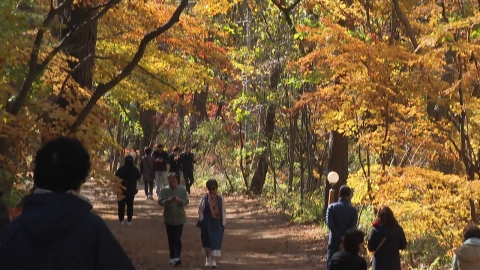 Mt. Seorak is the end water and Mt. Halla is late...I'm thinking about the famous fall foliage spots.