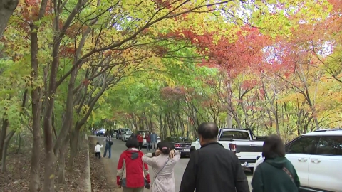 Enjoy autumn leaves and chrysanthemums and make memories.Autumn mood. "Masked".