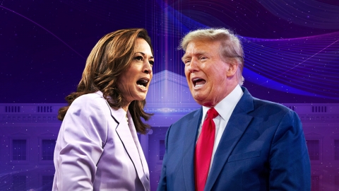 D-7 final message for the U.S. presidential election...Harris 'Democracy' and Trump 'Protecting the Border'