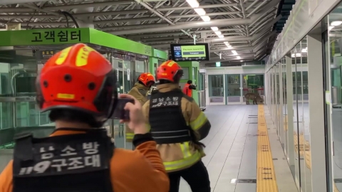 Wild boar in a subway station out of nowhere...One citizen injured.